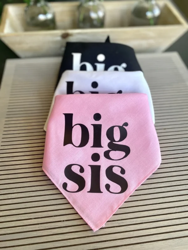 Dog Bandanas for Baby Announcement & Maternity Photoshoot Decoration - Image 5