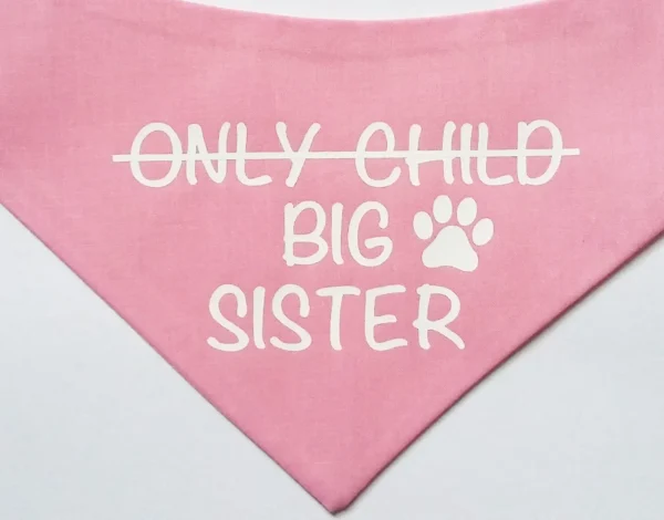 Dog Bandanas for Pregnancy & Gender Reveal - Black & White Scarf - Image 2