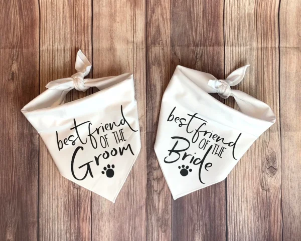 Dog Bandanas Big Sis Big Bro Announcement Maternity Photoshoot - Image 3