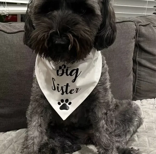 Dog Bandanas Baby Reveal Big Brother Sister Black White Scarf - Image 4