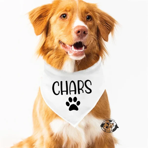 Custom Dog Bandanas, Personalized Pet Neckwear & Scarf Collar - Image 2