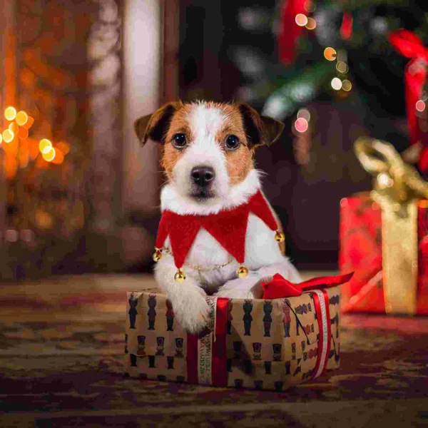 Dog Bandanas Christmas Neck Scarf for Pets - Image 5