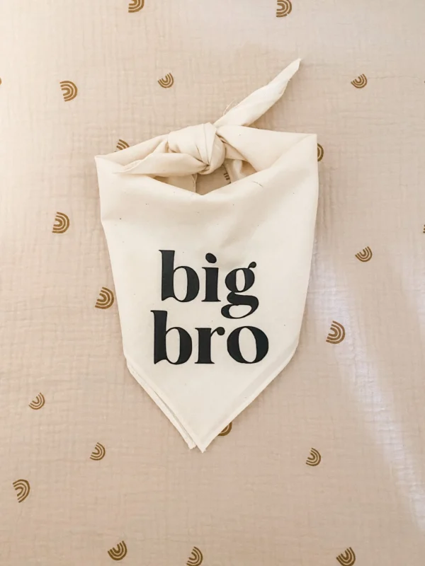 Dog Bandanas for Baby Announcement & Maternity Photoshoot Decoration - Image 6