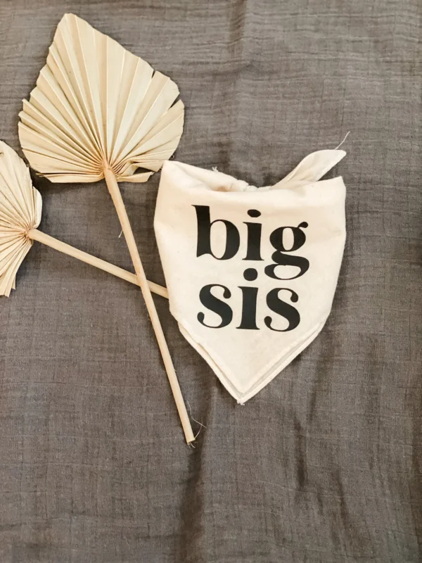 Dog Bandanas for Baby Announcement & Maternity Photoshoot Decoration - Image 3