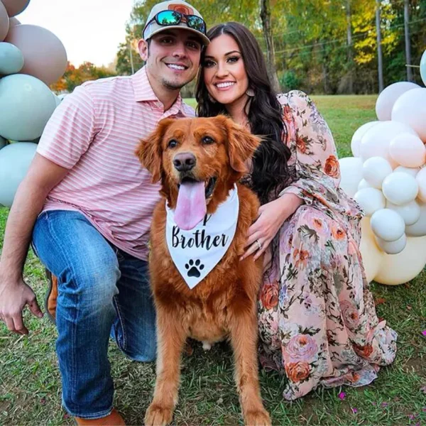 Dog Bandanas Baby Shower Gender Reveal Props - Image 4