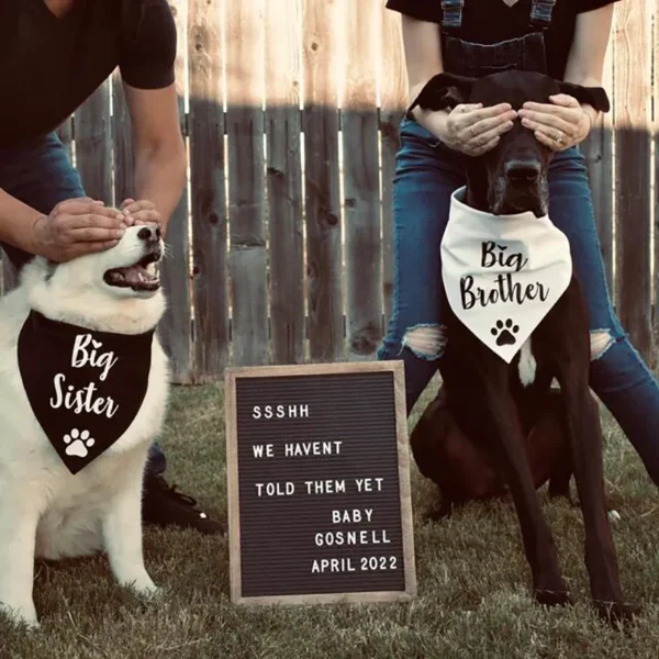 Dog Bandanas Baby Shower Gender Reveal Props