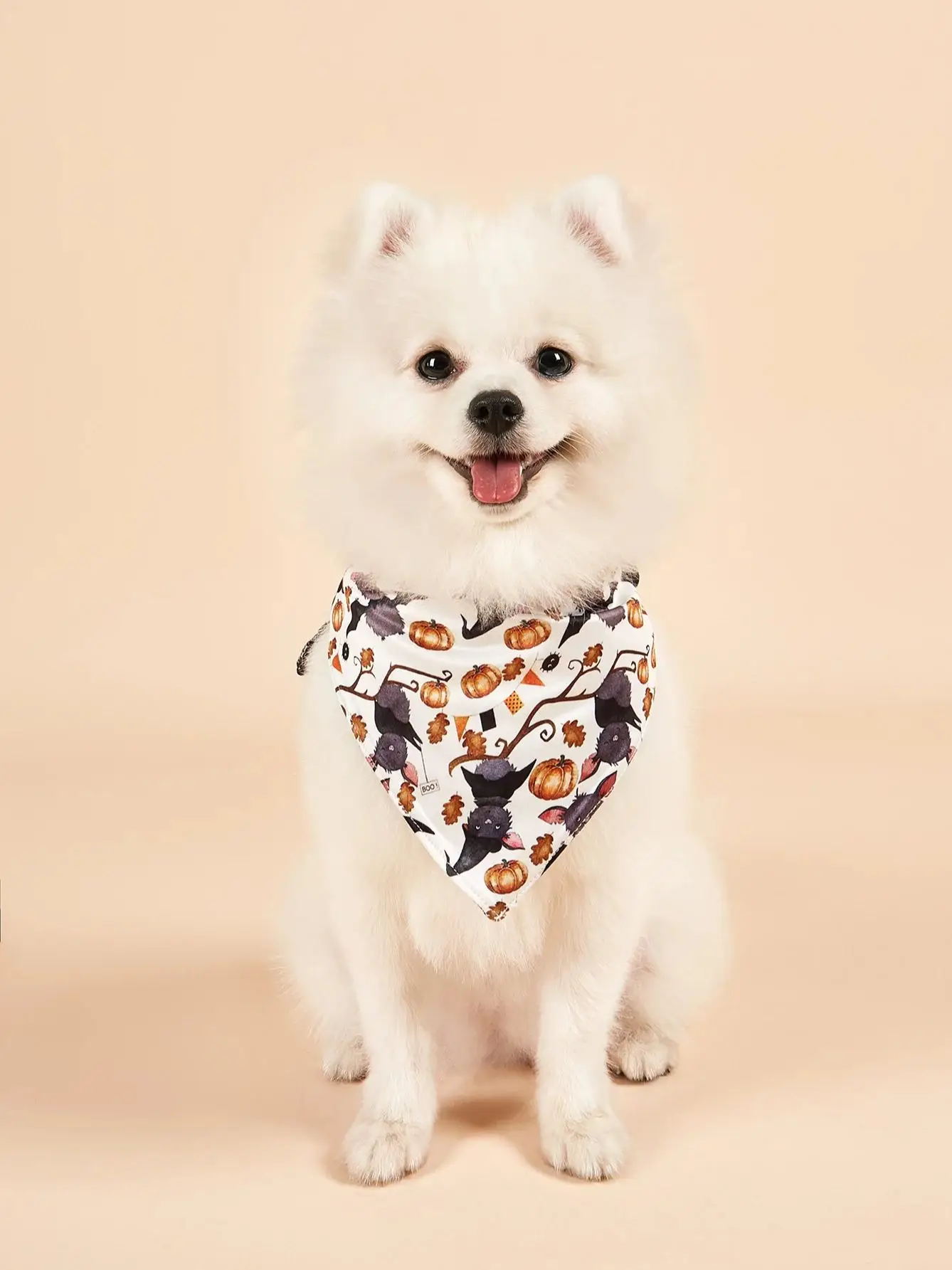 Dog Bandanas Reversible Pumpkin Spider Web Fall Pet Scarf