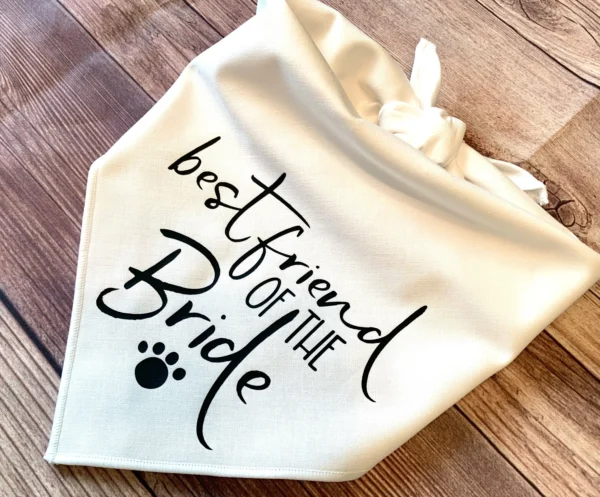 Dog Bandanas Big Sis Big Bro Announcement Maternity Photoshoot - Image 2