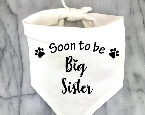 Dog Bandanas Pregnancy Announcement Gender Reveal Pet Scarf