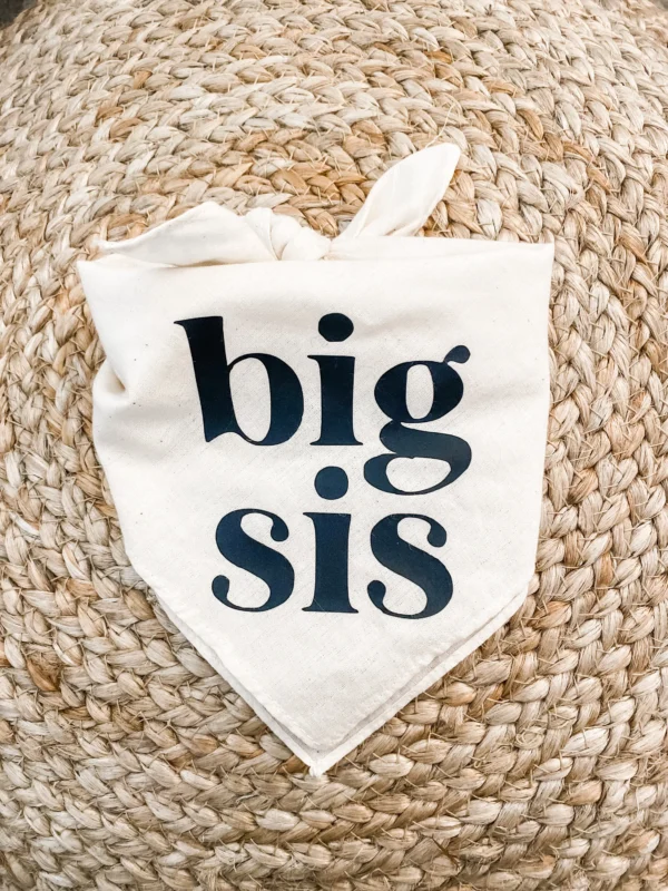 Dog Bandanas for Baby Announcement & Maternity Photoshoot Decoration - Image 2